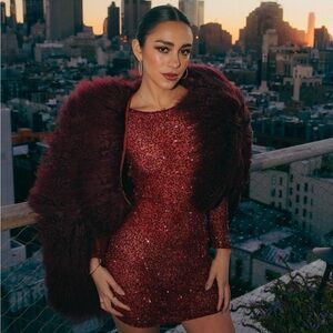 Sequin Dress from Revolve